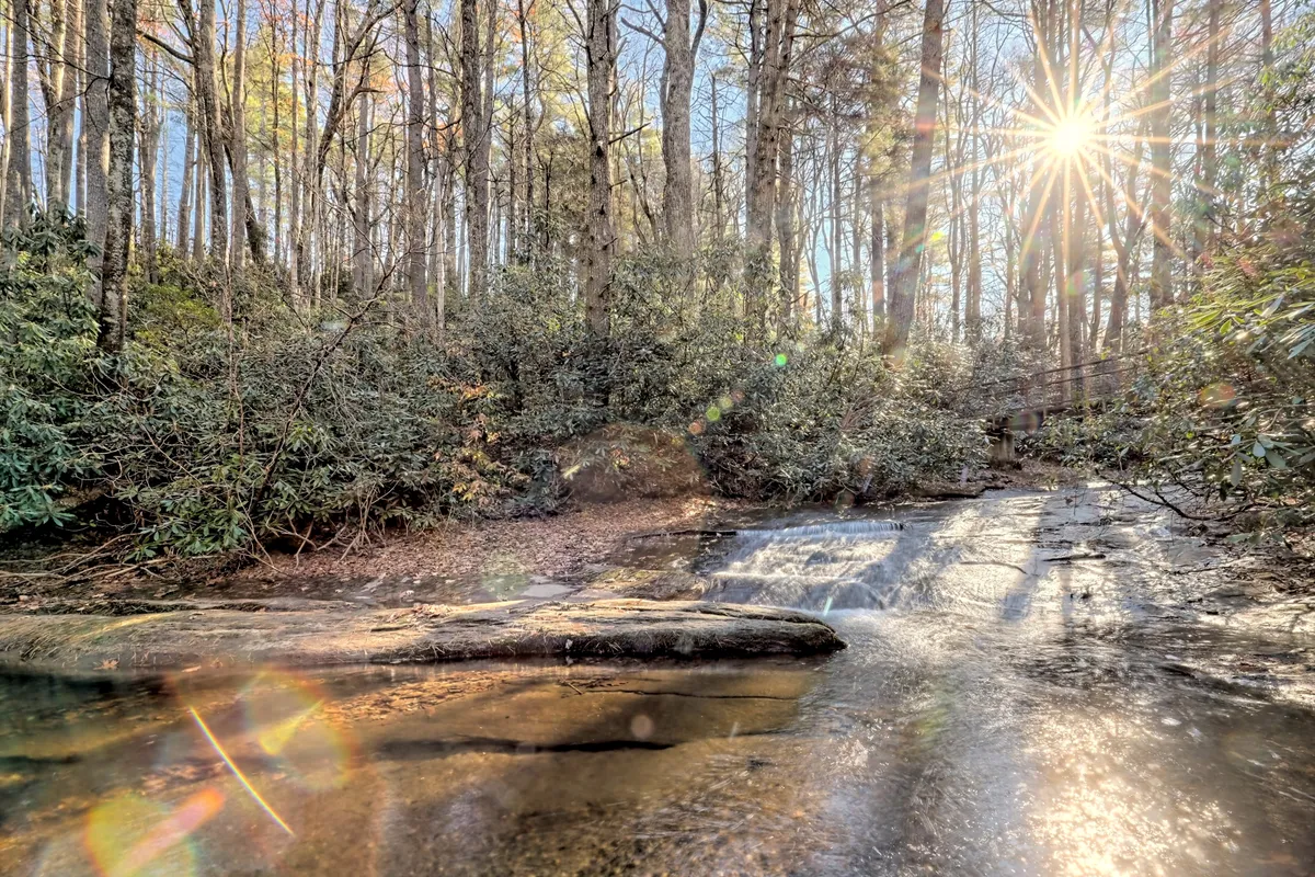 Sunlight filters through a lush canopy of trees, illuminating a gentle stream and a fallen log. The scene is tranquil and inviting, evoking the experience of being immersed in nature just steps from home.