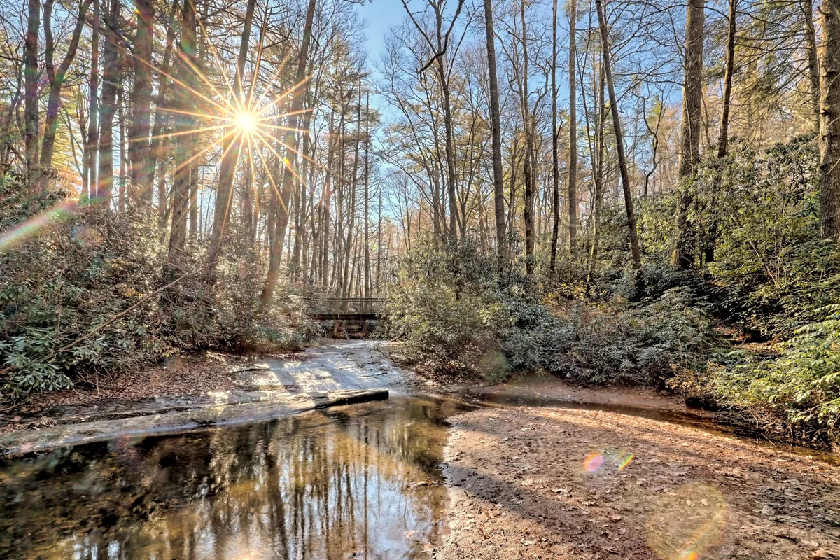 A tranquil woodland scene with sunlight streaming through tall trees, a reflective water surface, and a rocky streambed. The area evokes a sense of serenity, perfect for hiking, nature walks, birdwatching, or simply unwinding by the water. The early morning light suggests an ideal setting for sunrise photography and peaceful exploration.