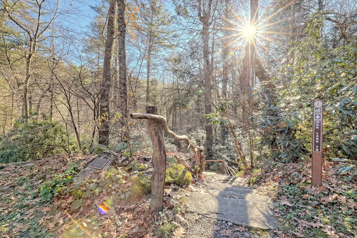 An exterior shot of a rustic trail entrance with a wooden handrail, stone steps, and sunlight filtering through the trees. An information sign hints at the start of a well-marked hiking trail, surrounded by forest greenery. The scene suggests adventure and the discovery of local flora and fauna.